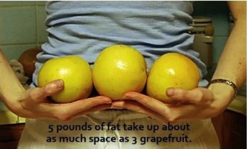 Grapefruit 5lbs